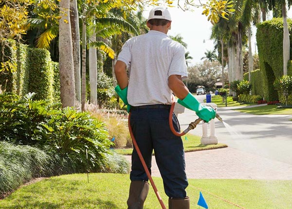 About Island Heights NJ Pest Control Pros